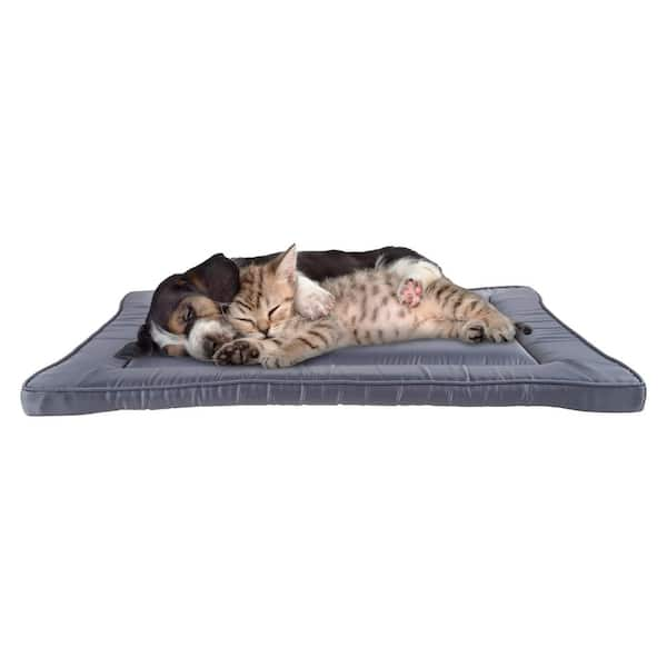 Pet Trex Medium 34 in. x 21 in. Gray Waterproof Pet Bed - Washable