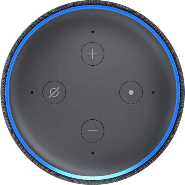 install google assistant on echo dot