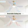 ceiling-fans-with-lights-zt-w882140942-c3.1
