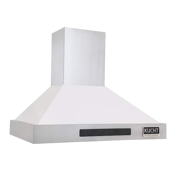 Professional 30 in. 900 CFM Ducted Wall Mount Range Hood with Light in White