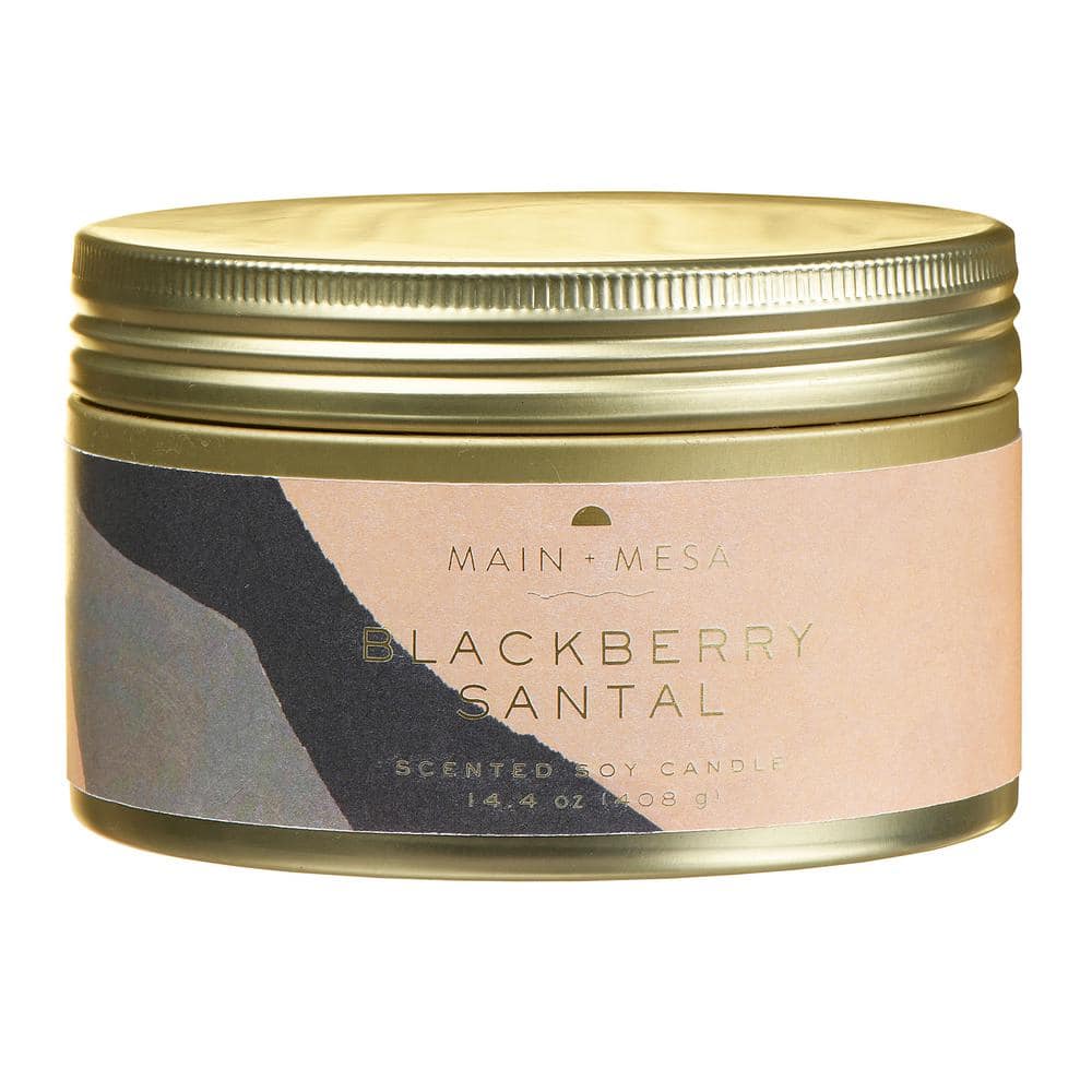 14.4 fl. oz. 3 Wick Blackberry Santal Scented Candle (1-Pack)