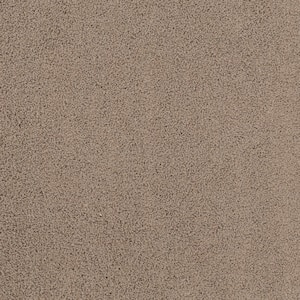 Around The World - Bird House - Brown 56.2 oz. Nylon Texture Installed Carpet