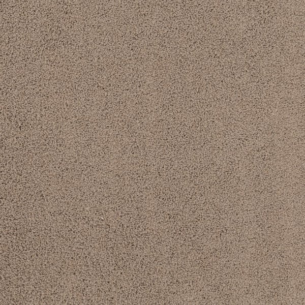 Lifeproof Around The World - Bird House - Brown 56.2 oz. Nylon Texture Installed Carpet
