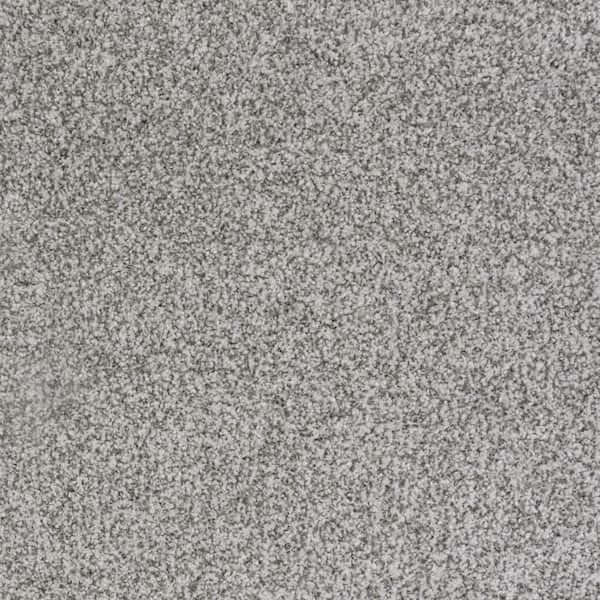 8 in. x 8 in. Texture Carpet Sample-Lurelin-Color Luminous