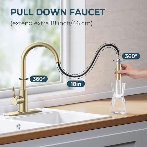 Forious pro Single Handle Pull Down Sprayer Kitchen Faucet with