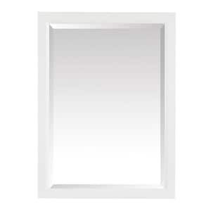Emma 22 in. x 28 in. Surface Mount Medicine Cabinet in White Finish