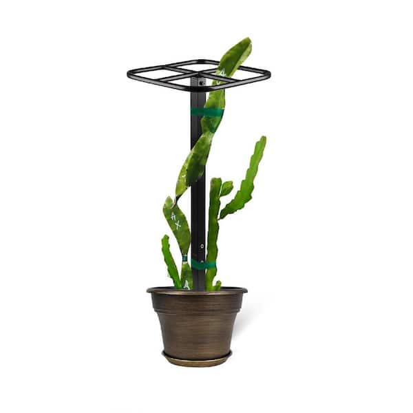 Unbranded Premium 50 in. Metal Dragon Fruit Vertical Trellis