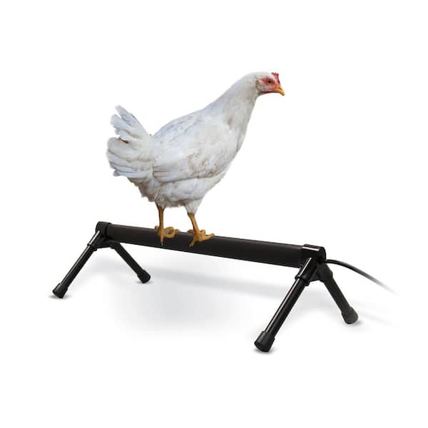 Unbranded 26 in. Thermo-Chicken Heated Perch Wired with 57 in. Cord