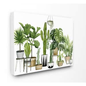 16 in. x 20 in."Boho Plant Scene with Cacti and Succulents" by Artist Grace Popp Canvas Wall Art