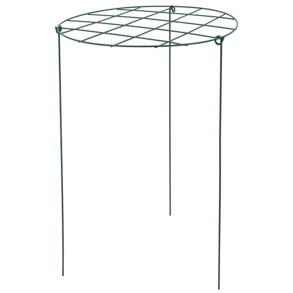 12 in. Grow Through Support (2-Pack)