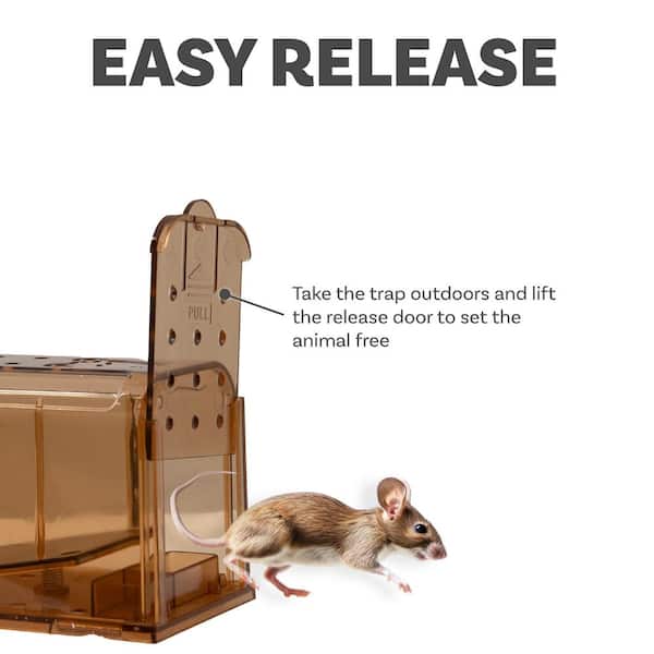 Sunnydaze Catch and Release Humane Mouse Trap - Mechanical Animal