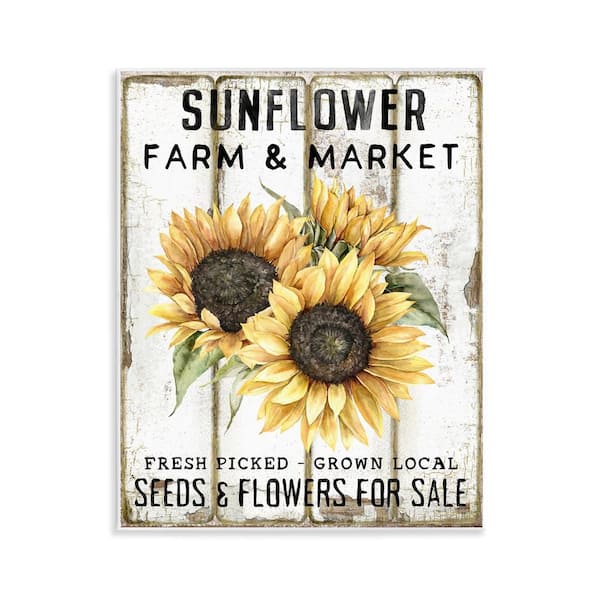 Sunflower Farm and Market by Creatif Belle Unframed Nature Graphic Art Print 14 in. x 11 in.