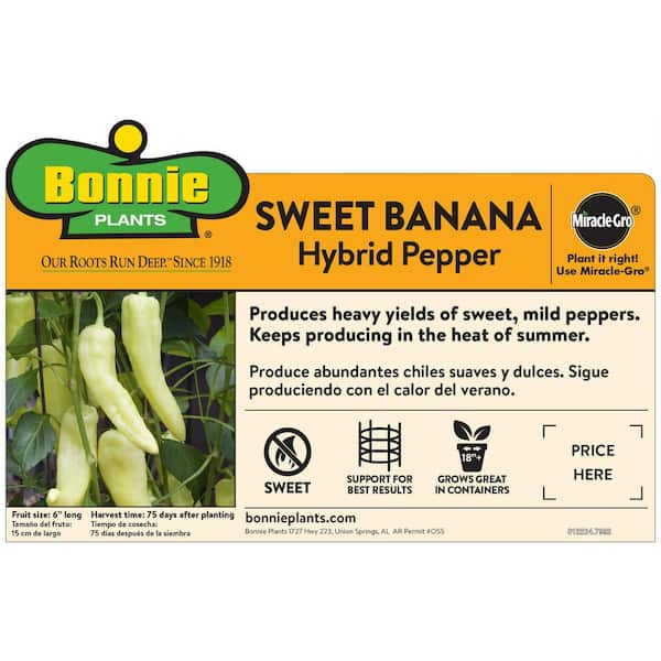 Bonnie Plants 19 3 Oz Sweet Banana Pepper Plant 2 Pack 2p2400 The Home Depot