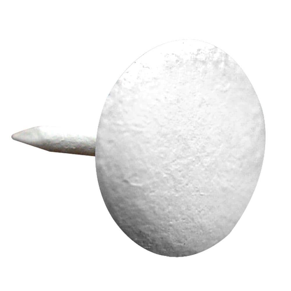 Hillman White Large Round Head Furniture Nails (25-Pack) 122685