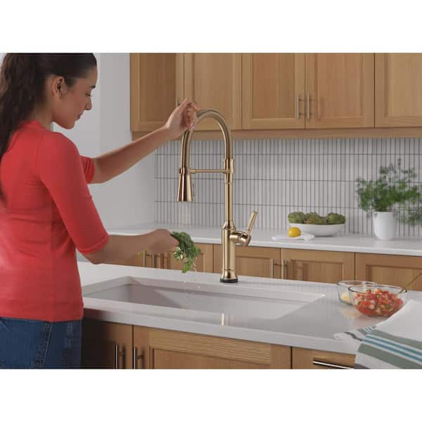 Delta Renaldi Touch2O Spring Spout Gold Champagne Bronze 23.13 in