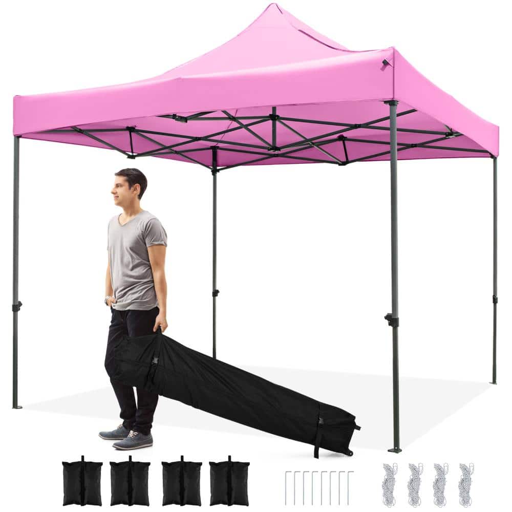 10 ft. x 10 ft. 420D Oxford Canopy Tent with Wheeled Bag, Sandbags and Carbon Metal Frame, Pink price history on PriceWatchPro