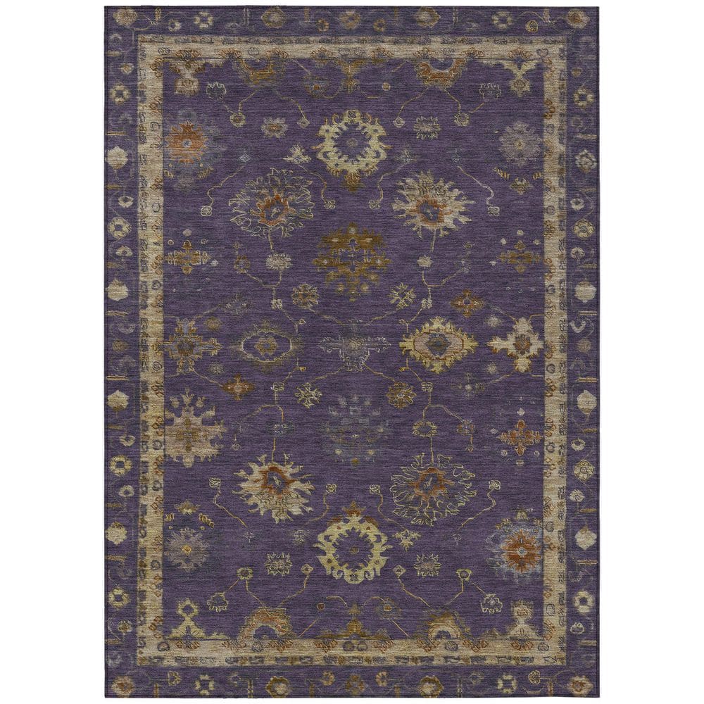 Chantille Machine Washable Indoor/Outdoor Abstract ACN2045 Eggplant 5 ft. x 7 ft. 6 in. Area Rug price history on PriceWatchPro