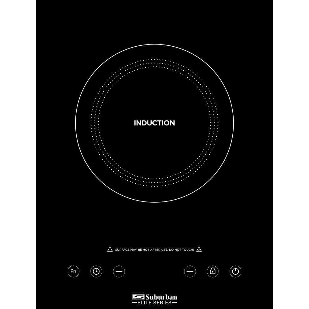 hannex induction cooker