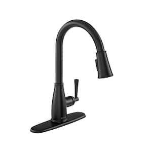 Fairhurst Single-Handle Pull-Down Sprayer Kitchen Faucet in Matte Black