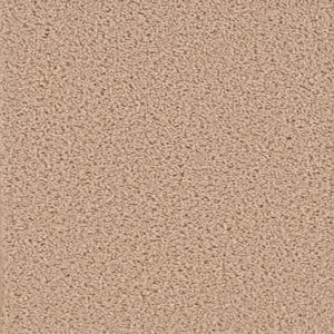 Added Value - Influence - Beige 24 oz. SD Polyester Texture Installed Carpet