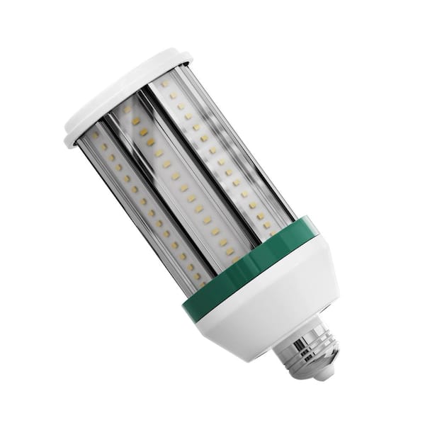 Pinegreen Lighting 150-Watt Equivalent 2500 Lumens E26 LED COB Light Bulb Daylight (5000K) (1-Bulb)