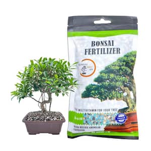 5 oz. Pouch Tons of Micro Nutrients Vital for Bonsai Health Bonsai Dry Fertilize Quick Release for Instant Results