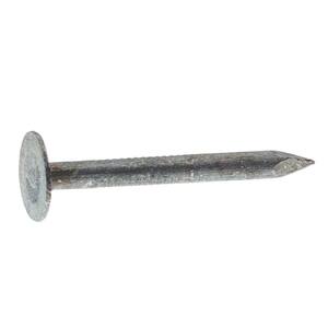 #11 x 1-1/2 in. Electro-Galvanized Steel Roofing Nails (50 lb.-Pack)