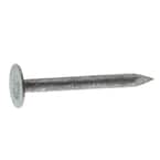 #11 x 1-1/4 in. Electro-Galvanized Steel Roofing Nails (10 lbs.-Pack)