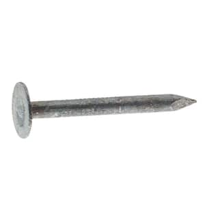 roofing cap nails