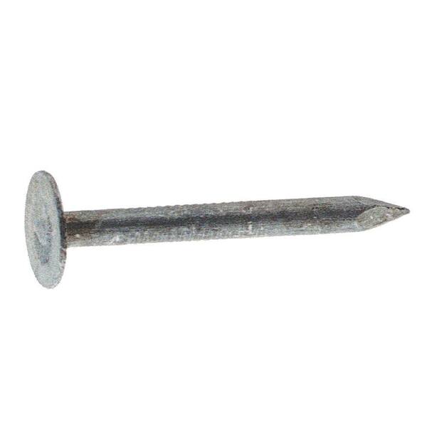 PrimeSource #11 x 3/4 in. Electro-Galvanized Steel Roofing Nails (5 lb.-Pack)