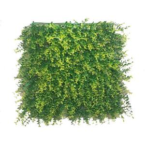 20 in. x 20 in. Ficus Artificial Boxwood Hedge Screen for Outdoor Party Wedding Ceremony Decor (Set of 36/Piece)