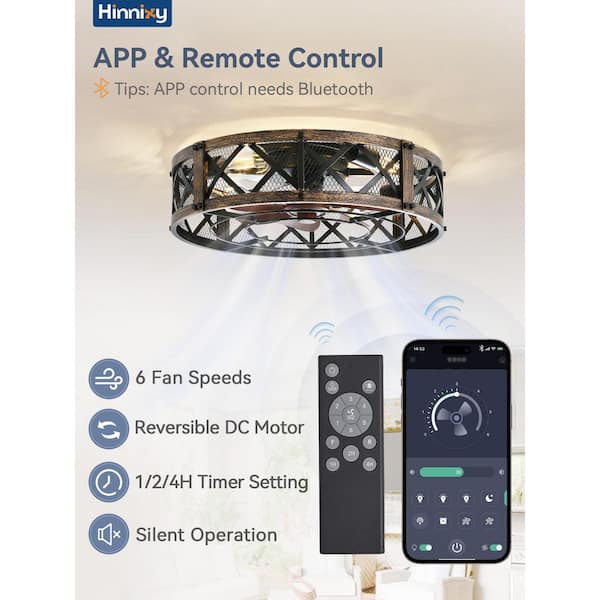 HINNIXY 20 in. indoor Black Gold Caged Flush ount Modern