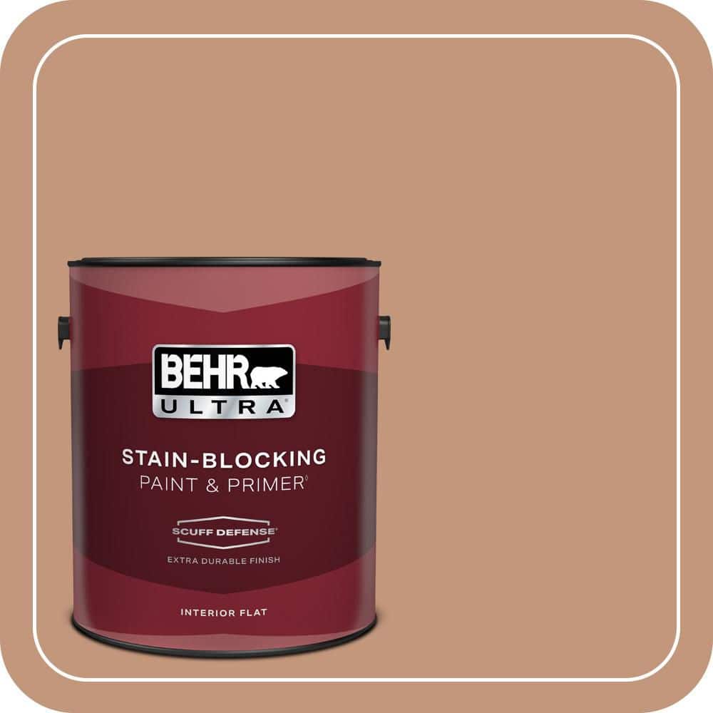 1 gal. #ECC-50-3 Brick Path Extra Durable Flat Interior Paint & Primer price history on PriceWatchPro