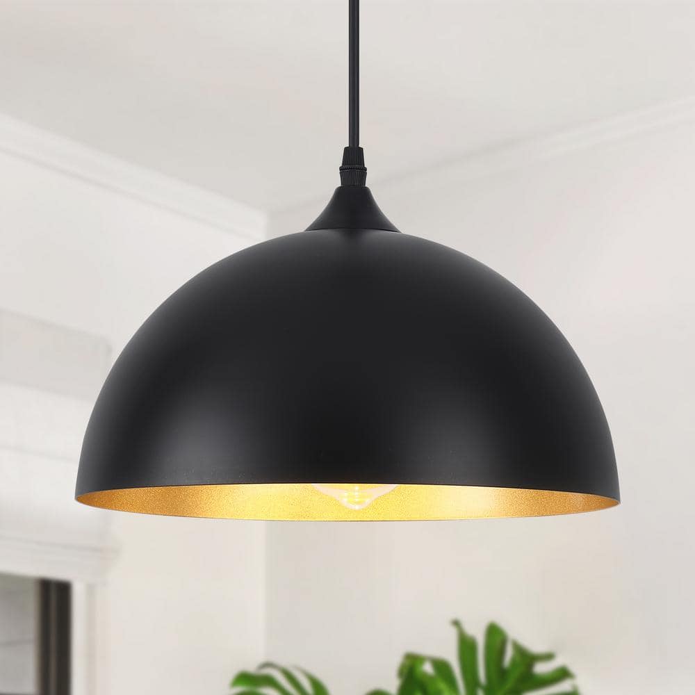 Black Metal Dome Pendant Light with Adjustable Height