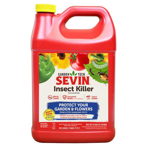 1 Gal. Outdoor Lawn and Garden Insect Killer Concentrate 3-Month Control