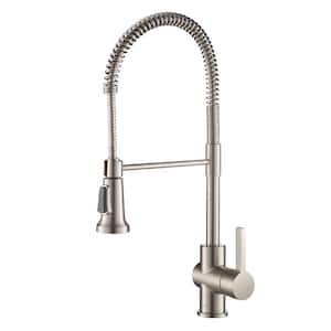 Britt Single-Handle Pull-Down Kitchen Faucet with Dual Function Sprayhead in All-Brite Spot Free Stainless Steel