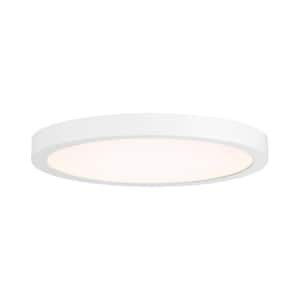 10 in. 20-Watt Modern White Integrated LED Flush Mount with Clear Shade