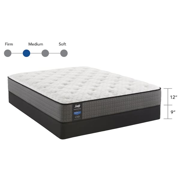 sealy performance plush pillowtop