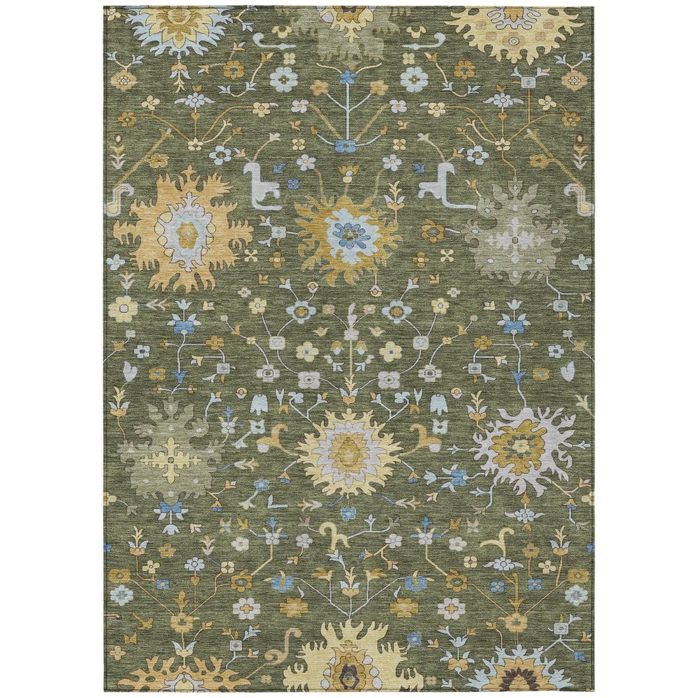 Chantille Machine Washable Indoor/Outdoor Abstract ACN2609 Olive 9 ft. x 12 ft. Area Rug price history on PriceWatchPro