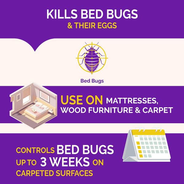 17.5 oz. Pyrethroid-Resistant Bed Bug Insect Killer Aerosol (4-Pack)