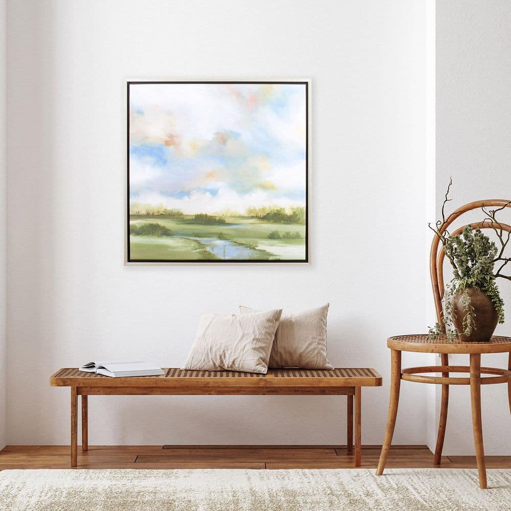 Cloudscape 1 Piece Framed Giclee Nature Art Print 30 in. x 30 in. price history on PriceWatchPro
