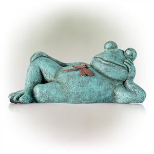 7 in. Tall Indoor/Outdoor Sleeping Frog with Dragonfly Garden Statue Decoration