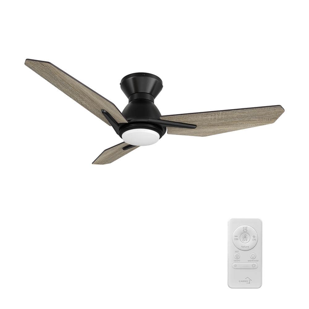 Orient black fan store