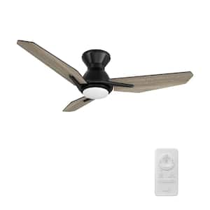 Vant 44 in. Color Changing Integrated LED Indoor Matte Black 10-Speed DC Ceiling Fan with Light Kit/Remote Control
