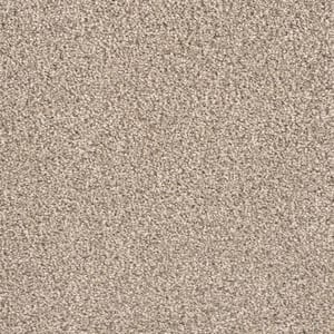 Shadow - Mist - Beige 40 oz. SD Polyester Texture Installed Carpet
