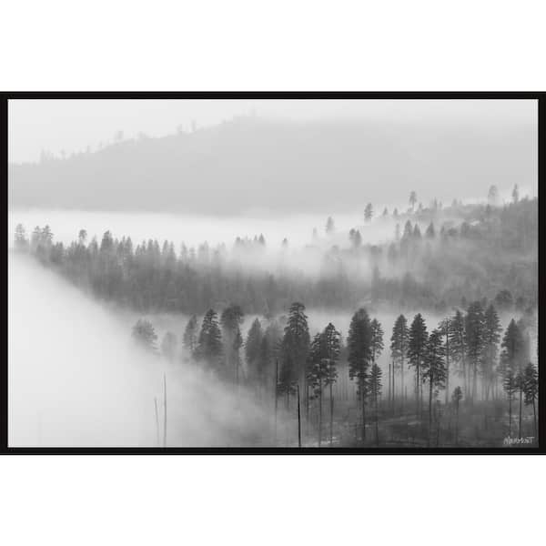 The Foggy Forest Paint By Numbers - PBN Canvas