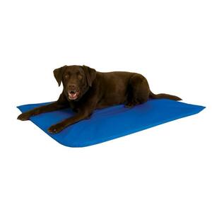 Cool Bed III Large Blue Cooling Dog Bed