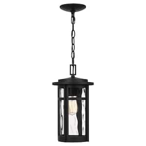 Uma 1-Light Matte Black Chandelier with Clear Water Glass