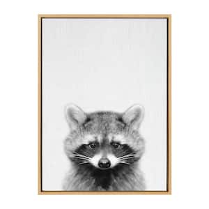Sylvie "Raccoon" by Tai Prints Framed Canvas Wall Art