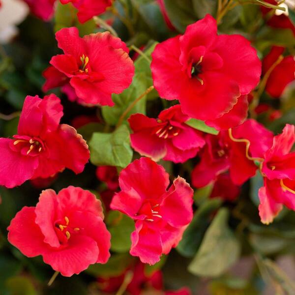 16.3 in. Red Indoor/Outdoor Artificial Hibiscus CJCT54SZ2Y - The